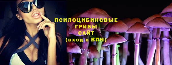 СК Армянск