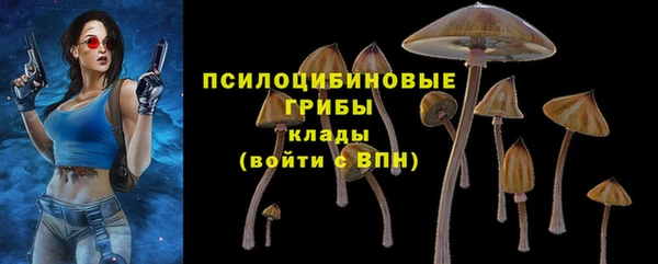 кокс Арсеньев