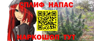 прущие крисы Новокубанск