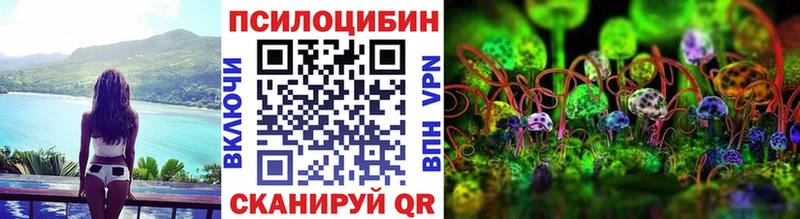 Галлюциногенные грибы Psilocybe  Нарьян-Мар 